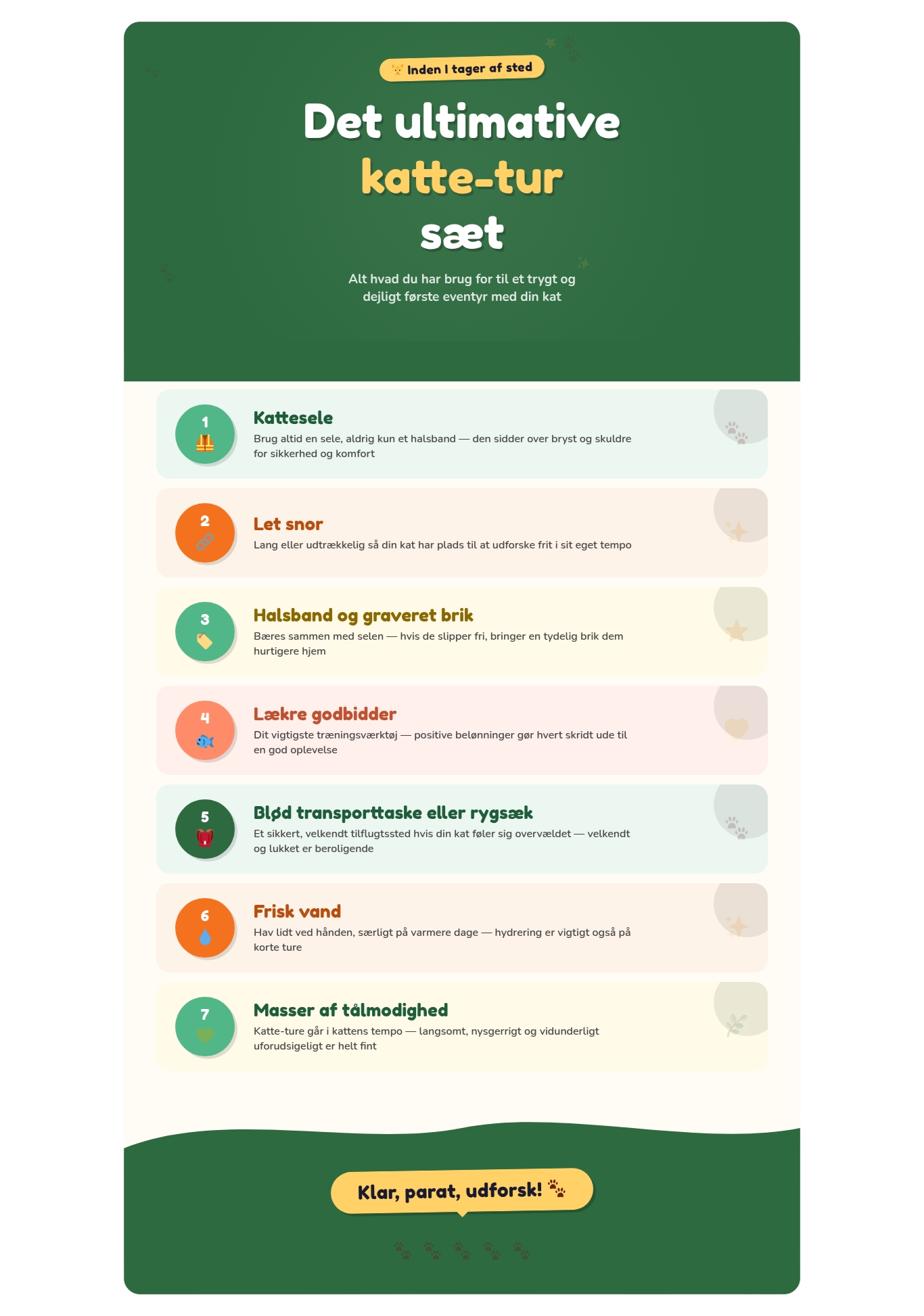 Infografik med tjekliste til første tur med katten: sele, snor, halsband med brik, godbidder, transporttaske, vand og tålmodighed